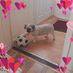 Joanne Drummond - @joanne.drummond.758 - Instagram