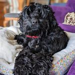 Joanne Kerry - @joanne.drury.90 - Instagram