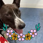 Joanne D'Urso - @jo1426 - Instagram