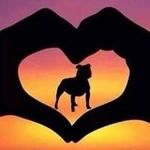 Joanne Dutton - @joanne.dutton.737 - Instagram