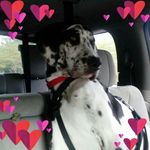 JoAnn Earley - @earleyjoann - Instagram
