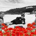 Joanne Earley - Facebook