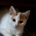 Joann Eddy - Facebook