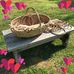 JoAnn Eddy - Facebook