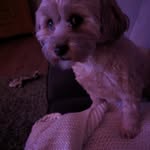 Joanne Edge - @ridoutjoanne - Instagram