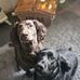 Joanne Edge - Facebook