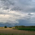 JoAnn Winkels Evenson - @joann_evenson - Instagram