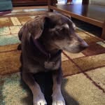 JoAnne Evenson - @jke_eve - Instagram