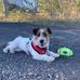 Jo-Anne Fahey - Facebook