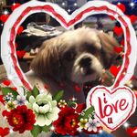 Joanne Farris - @jo.kim02 - Instagram