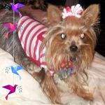 Joanne Ferrell - @ferrelljoanne - Instagram