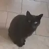 Joanne Ferrell - @joanne.ferrell7 - TikTok