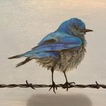 Joanne Foreman - @foreman1448 - Instagram