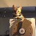 Joanna Forster - Facebook