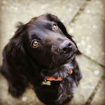 Joanne Forster - @77forster - Instagram