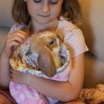 Joanne Forster - @petunia_and_pumpkin - Instagram