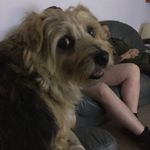 Joanne Forster - @joforster1970 - Instagram