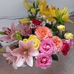 Joanne Forster - @joanne.forster.3785 - Instagram