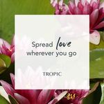 Tropic by Joanne Forster - @tropic.joanne_taylor - Instagram