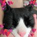 Joanne Forte - Facebook