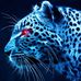 Joanne Forte - Facebook