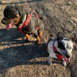 Joanne Fuller - @hopperhugs - Instagram