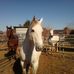 Joanne L. Forman - Facebook
