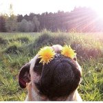 Joanne Galbraith - @mgp139 - Instagram