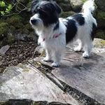 Joanne Galbraith - @joanne.galbraith.39 - Instagram
