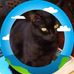 Joanne Gamble - Facebook