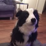 Joanne Gorham Warry - @gorhamwarry - Instagram