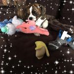 Joanne Graff - @joanne.graff.9 - Instagram
