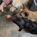 Joanne Groff Brewer - @joannetgbrewer - Instagram