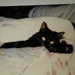 Joanne Hager - @jlflwrs - Instagram