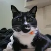 haileyjoanne - @haileyjoanne8 - TikTok