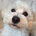 Joanne Hare - Facebook
