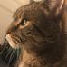 Johanne Harper - Facebook