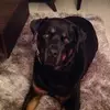 Joanne Harrell801 - @joanneharrell6711 - TikTok