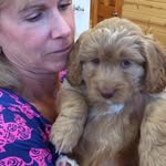 JoAnne Harrell - @4joanne.b.harrell - Instagram