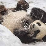 JoAnne Hartman - @hartman6915 - Instagram