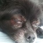 Joanne Hartman - @tom.hartman.5851 - Instagram