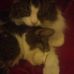 Joanne Hatfield - Facebook