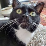 Joanne Hatfield - @jobo5365 - Instagram