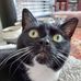 Joanne Hatfield - Facebook