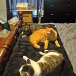Hatten Joanne - @hatten_joanne - Instagram