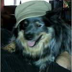 Joanne Hearn - @joanne.hearn.75 - Instagram