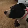 ❤️💜🧡🖤💛🤍💚🤎💚 - @joannehebert930 - TikTok