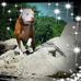 Joanne Hedlund - Facebook