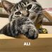 Joanne Hedlund - Facebook