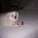JoAnne Heim - Facebook